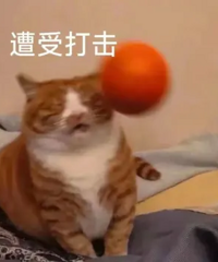 [����]���ͽ����ɡ��ж�ˬ����Щֵ̫�òο���