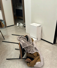 �������죬�����ë�¡����ף���Ҷ��Ƿ����