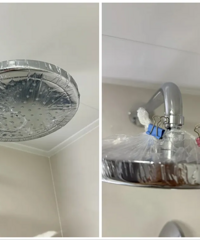 ��31����������׵����ã����ƪ