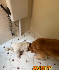 ����������ʱ�����Ż��ǹ��ţ������������ˣ�