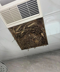 ������ûװֹ�淧���Ҽҵ������� �����๫Ԣ����