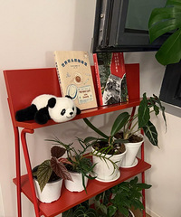 ʵ�ø���ֵ�ҾӺ���