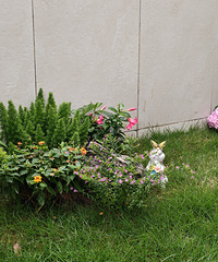 ѡ��һ���ַ�������ѡ���йŷ�