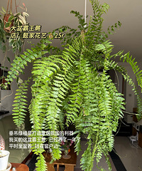 ƴϦϦƽ�ۼҾӺ���������ͳɱ������С��Ҳ����ů