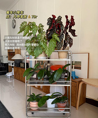 ƴϦϦƽ�ۼҾӺ���������ͳɱ������С��Ҳ����ů