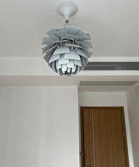 ����ɹ���