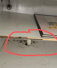 ��������Ĺ��ӳ����˺ܶ�ں�ɫ��м����ɶ��