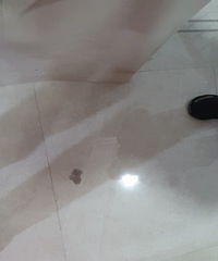 [��]�������ʪ���룬�ɵ�λ�������滹���ǹ�ש��