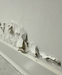 ԡ�ұ����ǽ��û����...