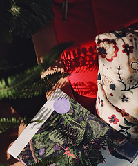 ������е�����