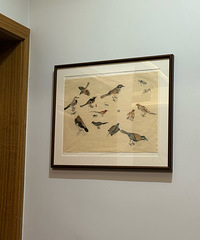 ��ǽ��Ч��