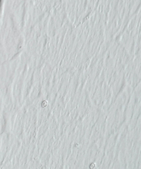 �����������ݻ��п�����ʲôԭ�򣿣�