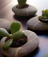 ��ȷ�ڷ�ʯͷ��������������