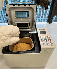 �������������𣿻������𣿺��������̫�Ķ���