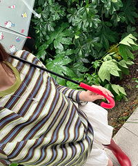 �꼾���������һ��ɡ