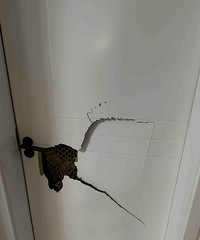 �����ͳ��ܣ�һ���ŷ�����ֽ���� �����ˡ�