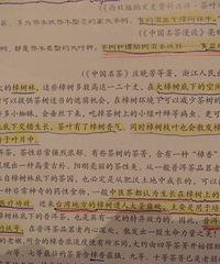 "樟木家具对人体有好处"