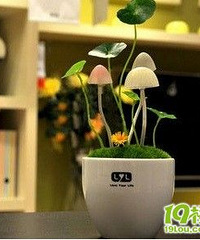 创意个性小物-为居家生活添色彩