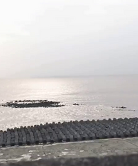 һ�����磬������������������