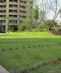 ��������ĳ�ߵ�С���Ĳ�ƺ��λ