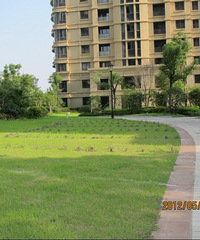 ��������ĳ�ߵ�С���Ĳ�ƺ��λ