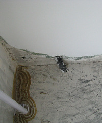 ���ˡ��رꡱ����ν���޷���Թ㳡���÷���ά���ռ�