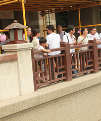 ��ʮ��¥�������ֲ���715��������������~