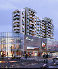 ¹����Է ���� ���˷���������������8��19��ǿ�ƹ�����