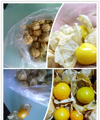 [��ʳ]һ�����С�������ˮ�� ��Թ���