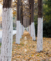 Сū22ڡСū︣ ȥ÷