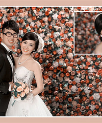 ��2013�����ռǡ��������������֪����顢���棨���������Ь��