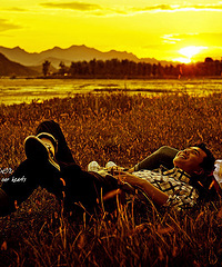 Ϧ�����޺ð��׵��ƻ裬��˹����Ѱ��ׯ԰�����ݶ��ַ����տ���