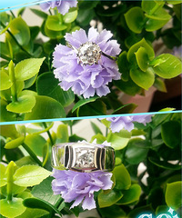 ��2013�����嵥����9��