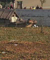 ���������ָ�ʬ��