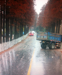 ����·���ģ��������õ��ġ�