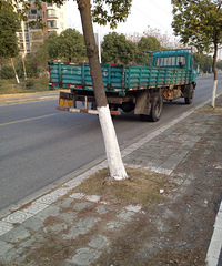 ����һ��ʬ��