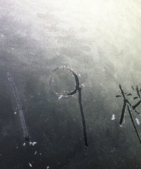 �������������籾���ͺܽ��ţ���Ҫ�������¡���㵢����