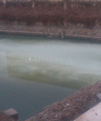 ��Ұ�һ�����ߵ���Ⱦ���⻵�������ò����˹���