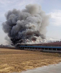 һ���ϳ����Ũ�̹���