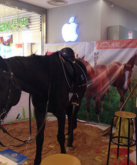 ���̡����������Ժ���һ���޳��֣�����