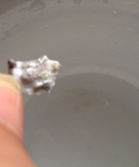 ����ţ�� �Ҹ���ʲô�����㣨��ͼ��