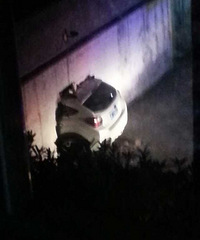 ������ţ����˾��