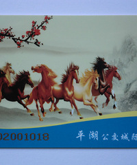 我的收藏日记(53):大嘉兴马年生肖公交卡,金平湖一马当先!