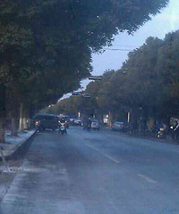 ���������·��~·��ע���г�