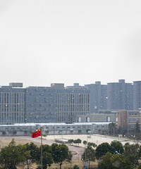 ���˽�����̫��ѩ��