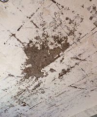 ����Ԫһ��ׯ�����������·�װ�޹��뷢���컨�������ֽ���¶