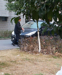 ��һ������С���ı�����