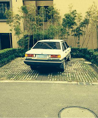 ��˰���ͣ������ľ�У�