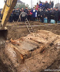 ֱ��ֱ�� ��Ϲ�Ĺ���쿪�ڣ���˵����18����Ԫ��