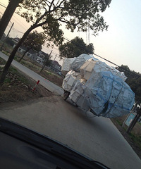 ���������������ߡ���û����û�г��أ�